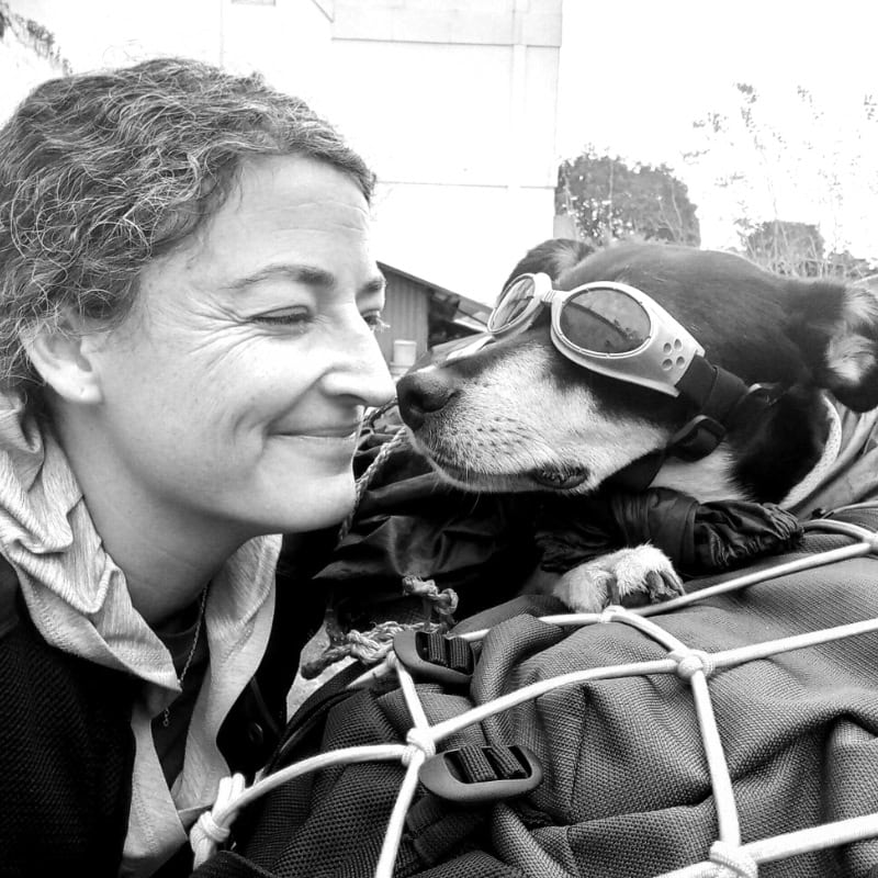 A woman smiles at a goggle-wearing dog on the back of a motorcycle