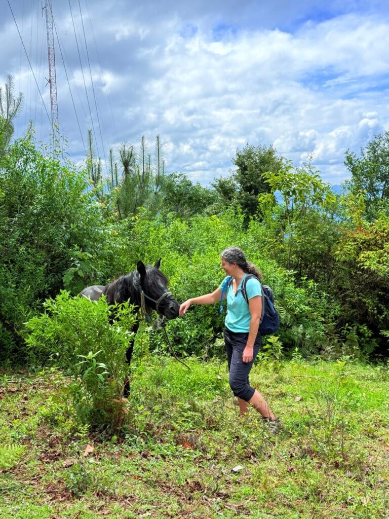 Yvonne McArthur, a writer and editor, greeting a horse during a hike. Getting out in nature is an important part of her self-care routine and helps her keep the right mindset when writing and editing.